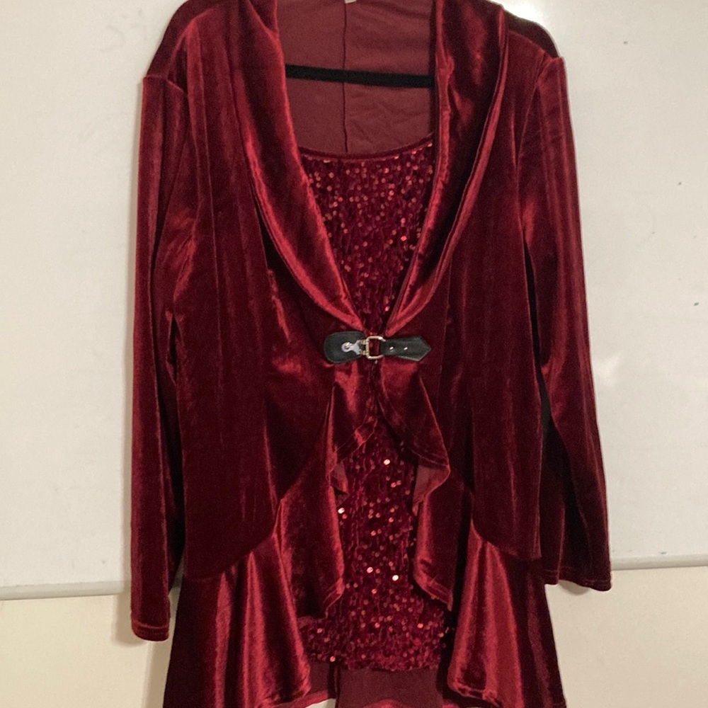 Burgundy Velvet Embellished Long Sleeve Top with sequins